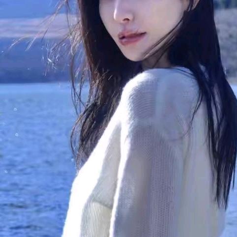 抓鱼猫