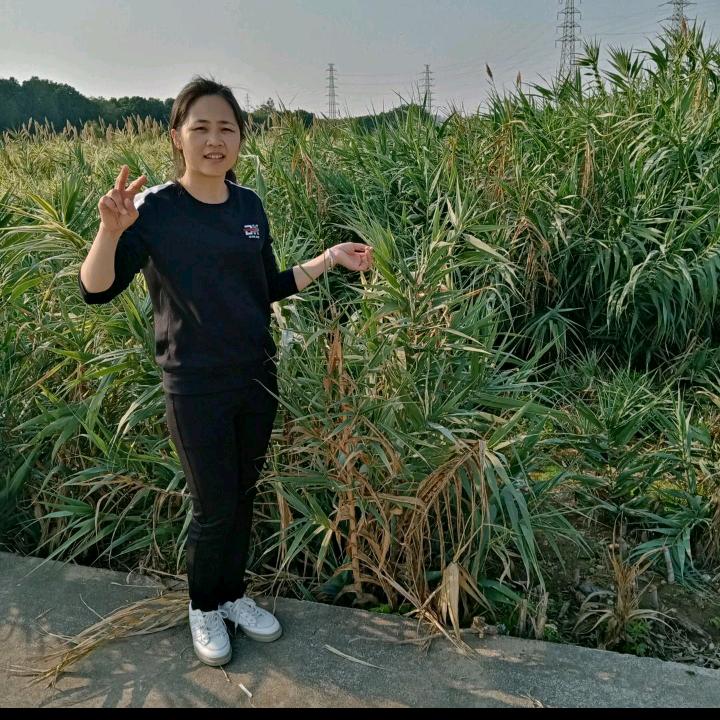 虎妞！平平淡淡！