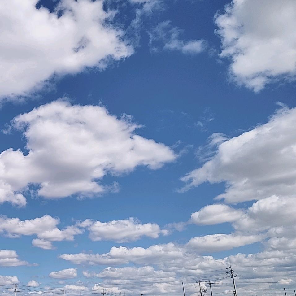 江湖漂泊