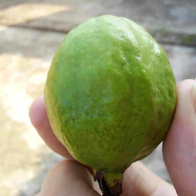 石磨甄选
