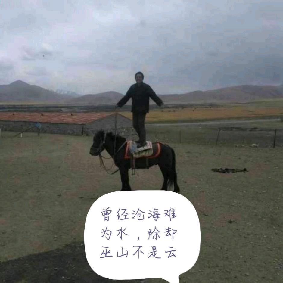 草原骑手托茂人，FF