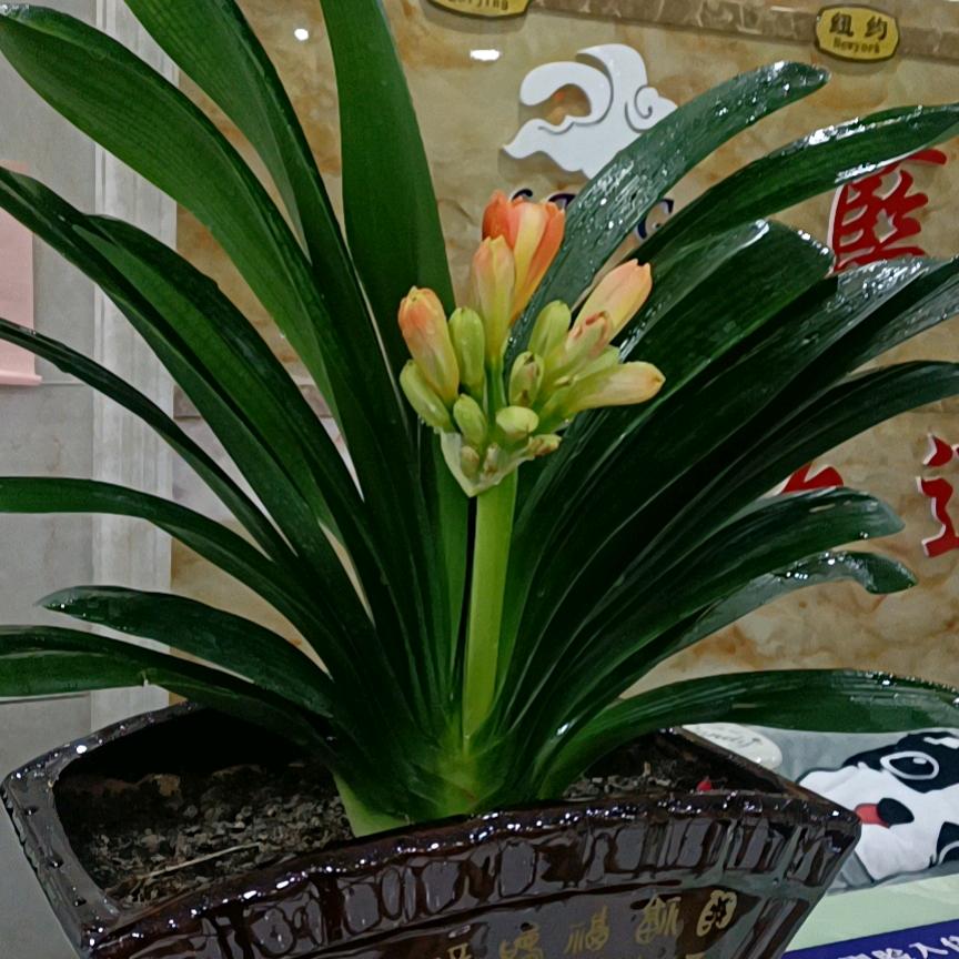 蓝天宾馆
