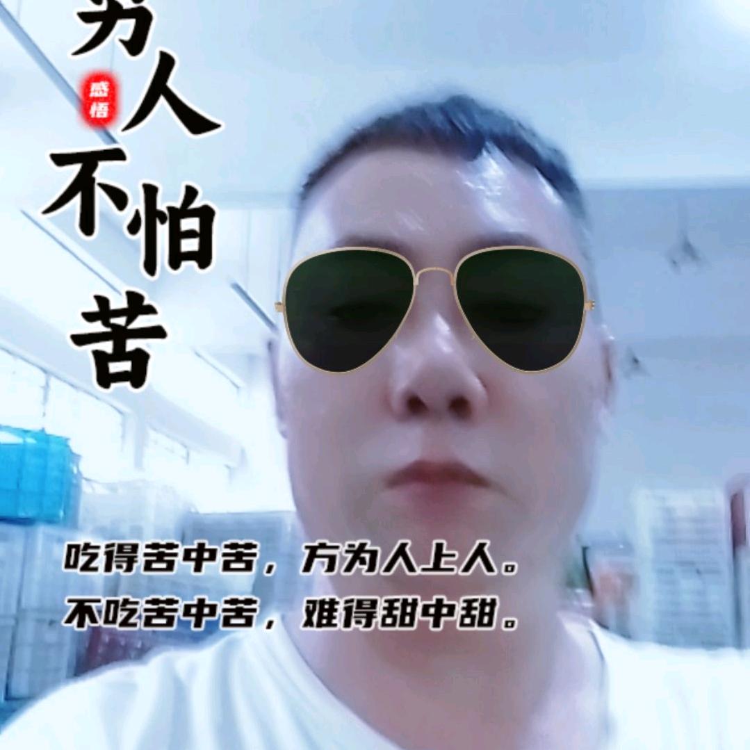 单身情歌