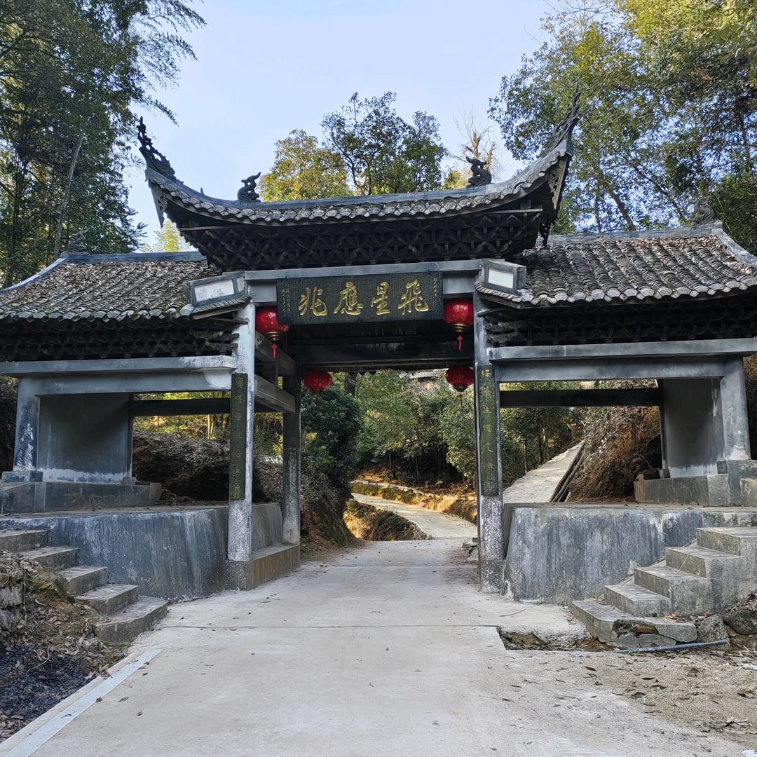 汤万万