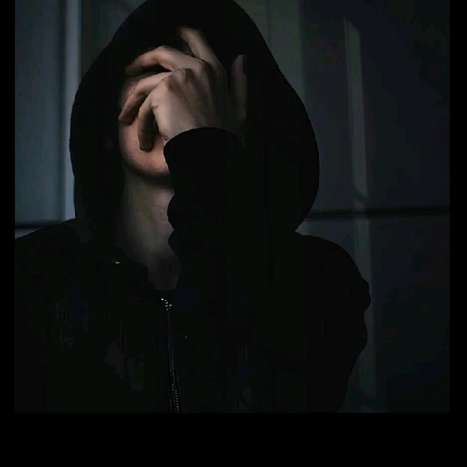 晚枫抚你也挽风