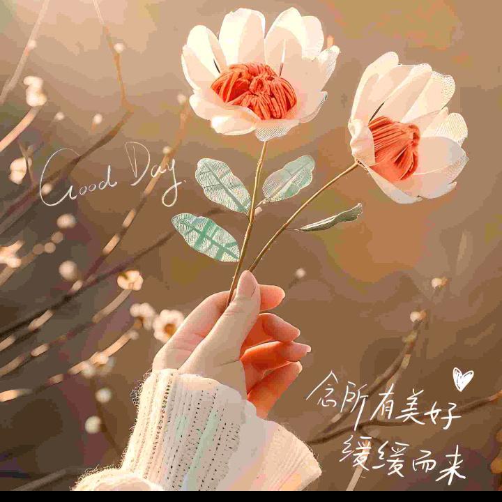 💞ℳღ᭄兜里半颗糖ꦿ꯭꧔💞：