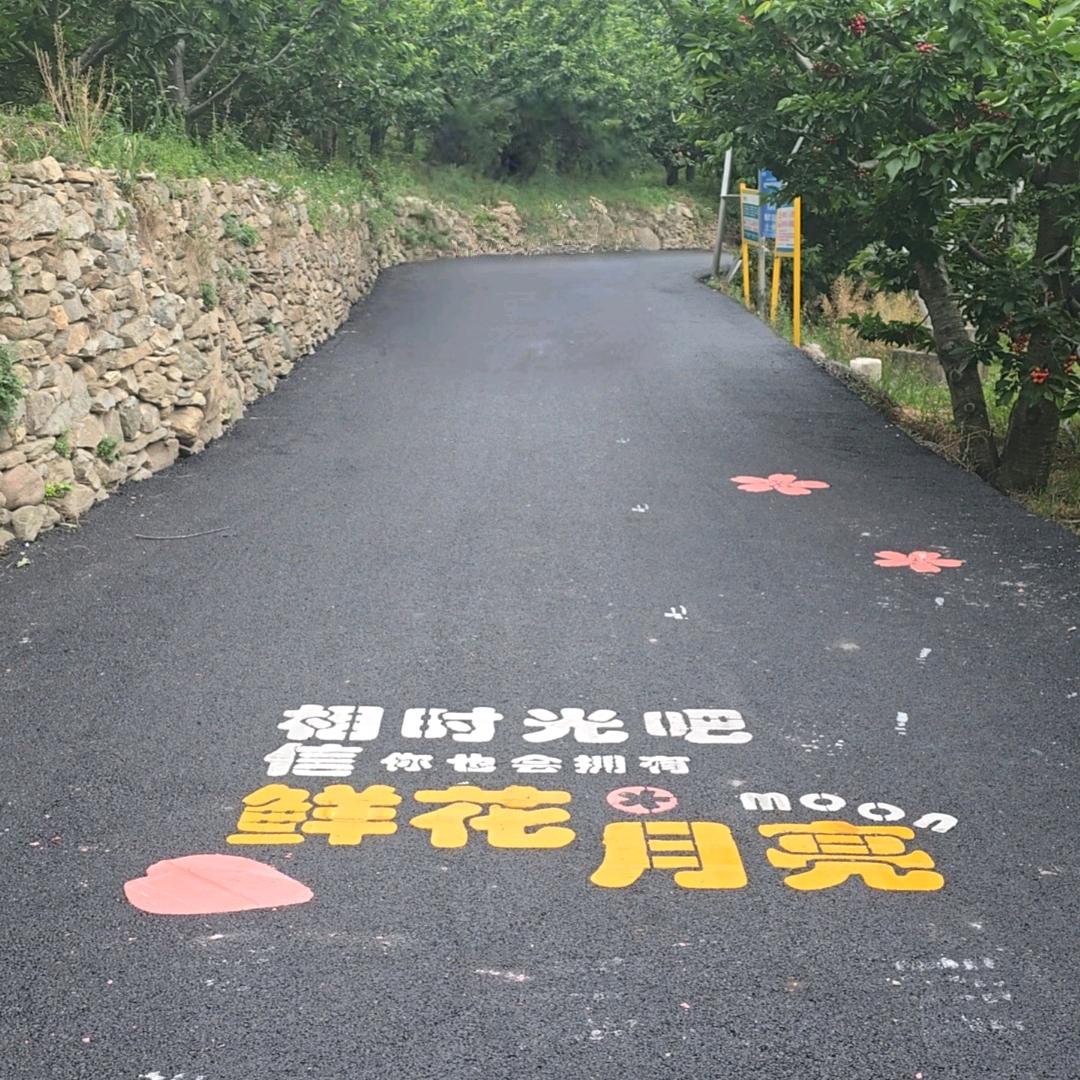 你之所愿我之所为