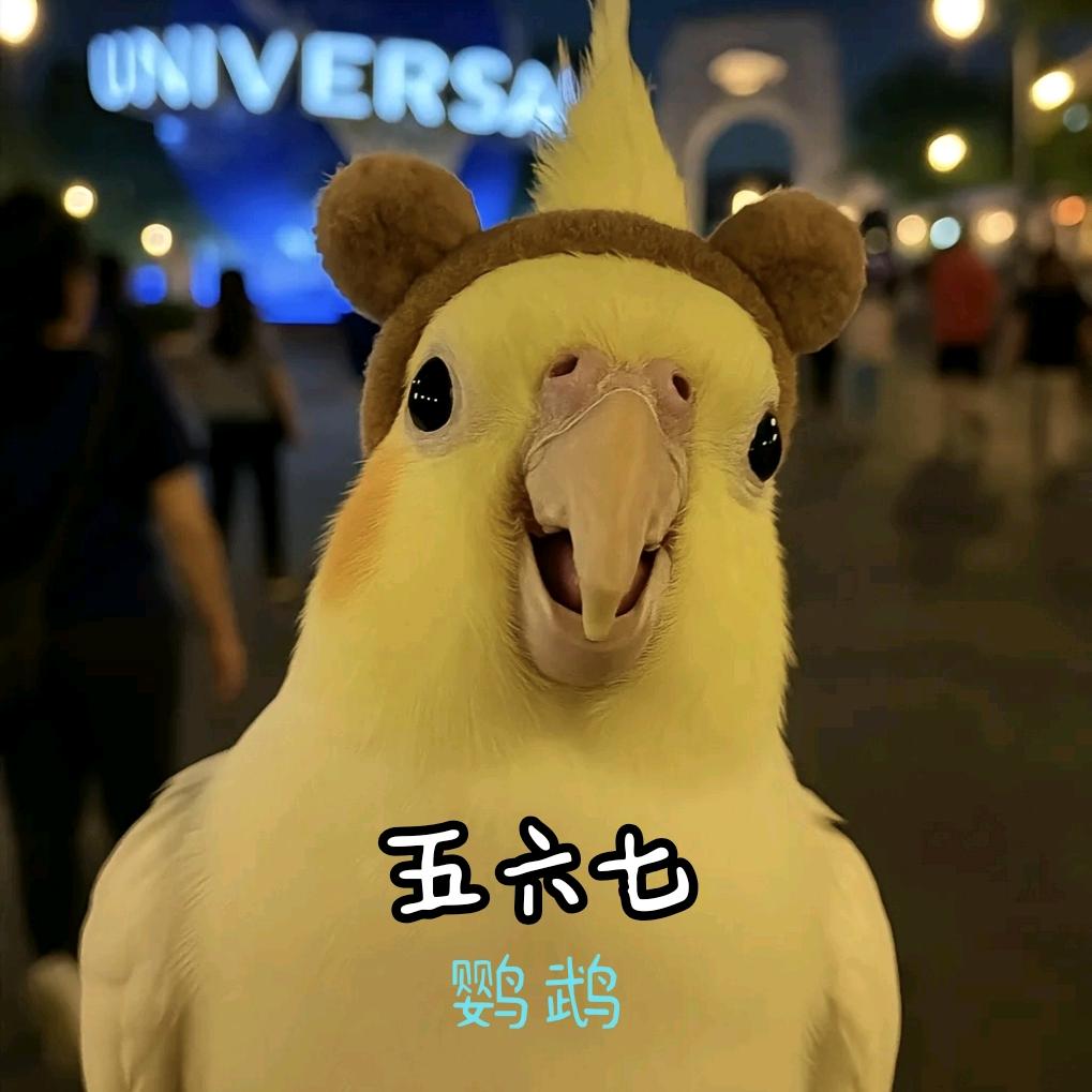 五六七鹦鹉