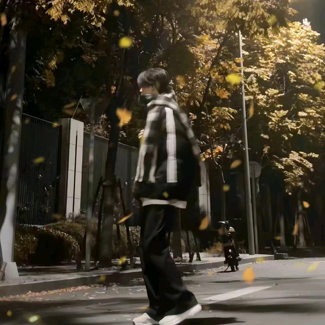 ℳ̶̶̶̶♡散落的回忆