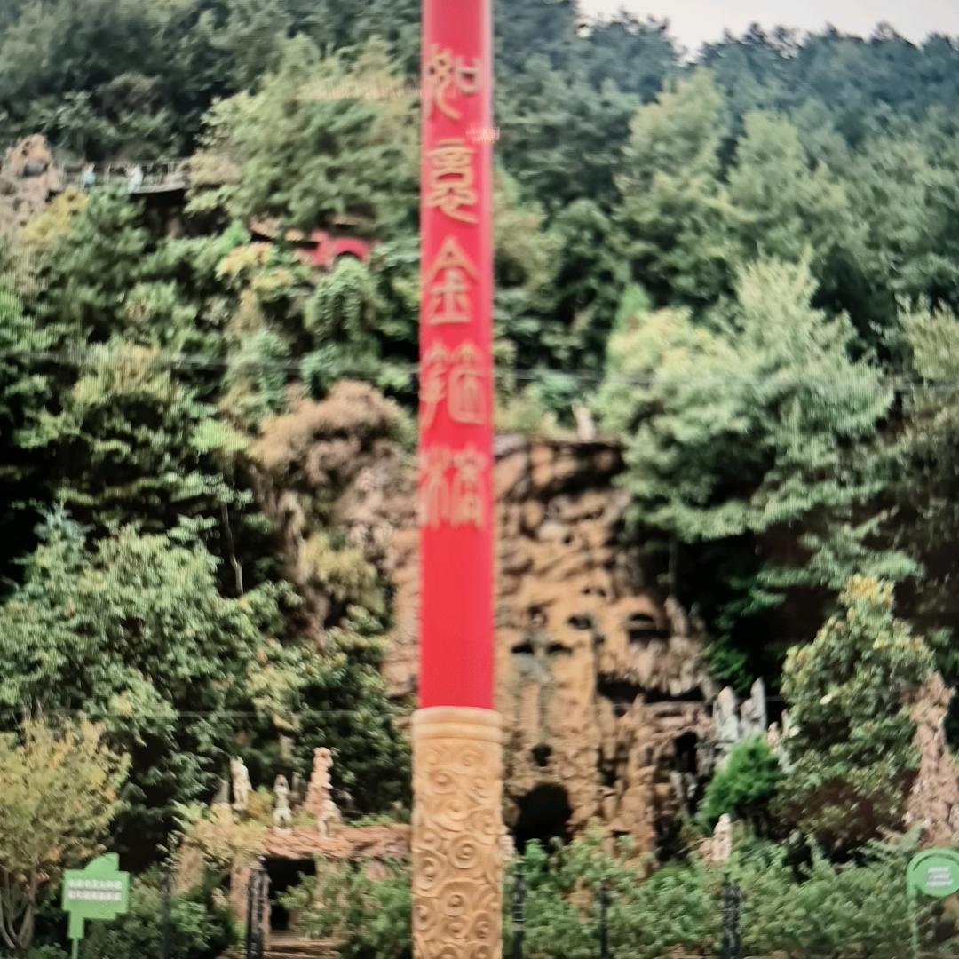 真诚y0