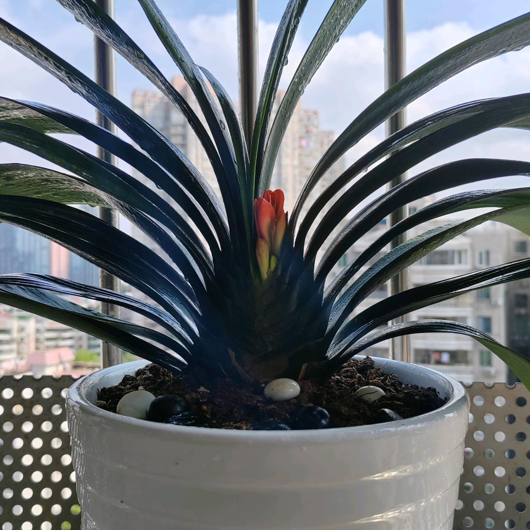 🇨🇳记录成长