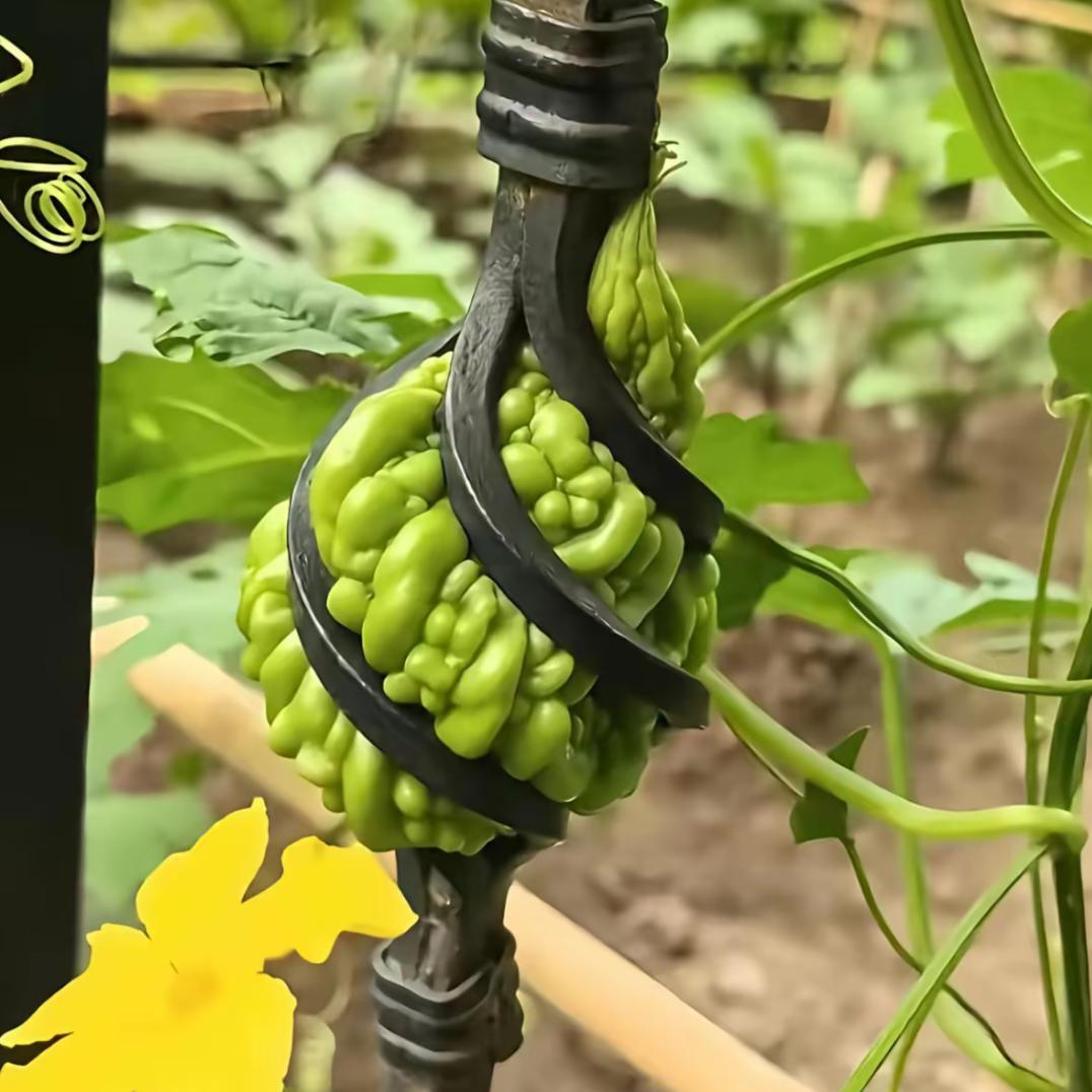 এº᭄ 㞮💞 孞༊ ړ: এº᭄ ࿐