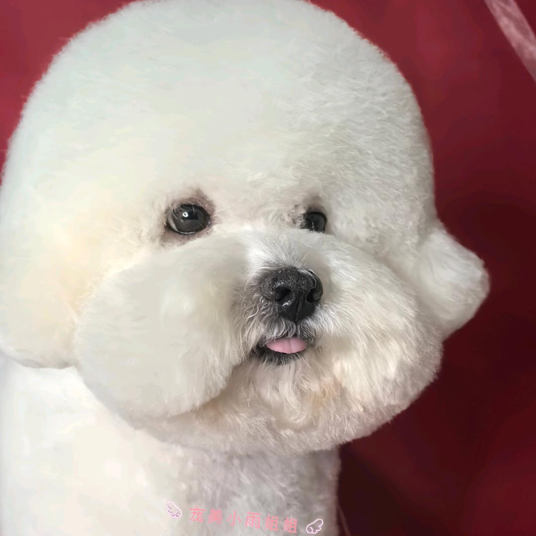 宠美小雨姐姐