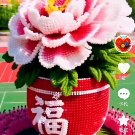 春天的一场梦