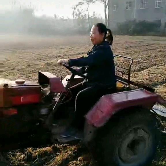 王传群