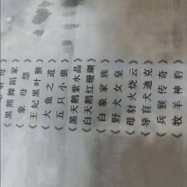 一切靠自己