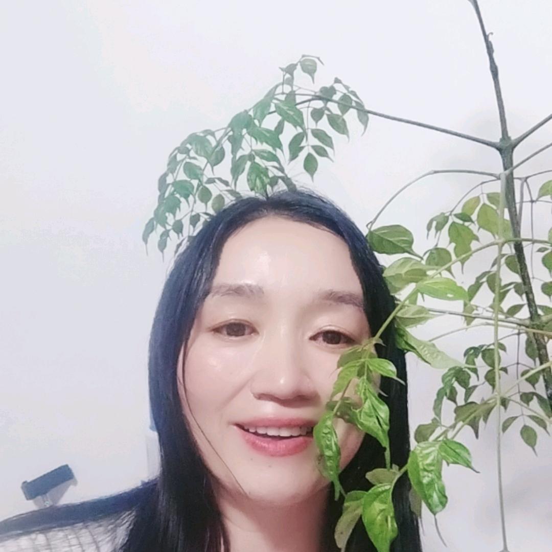 桂花表妹