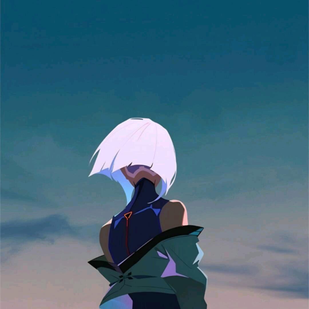 白曉