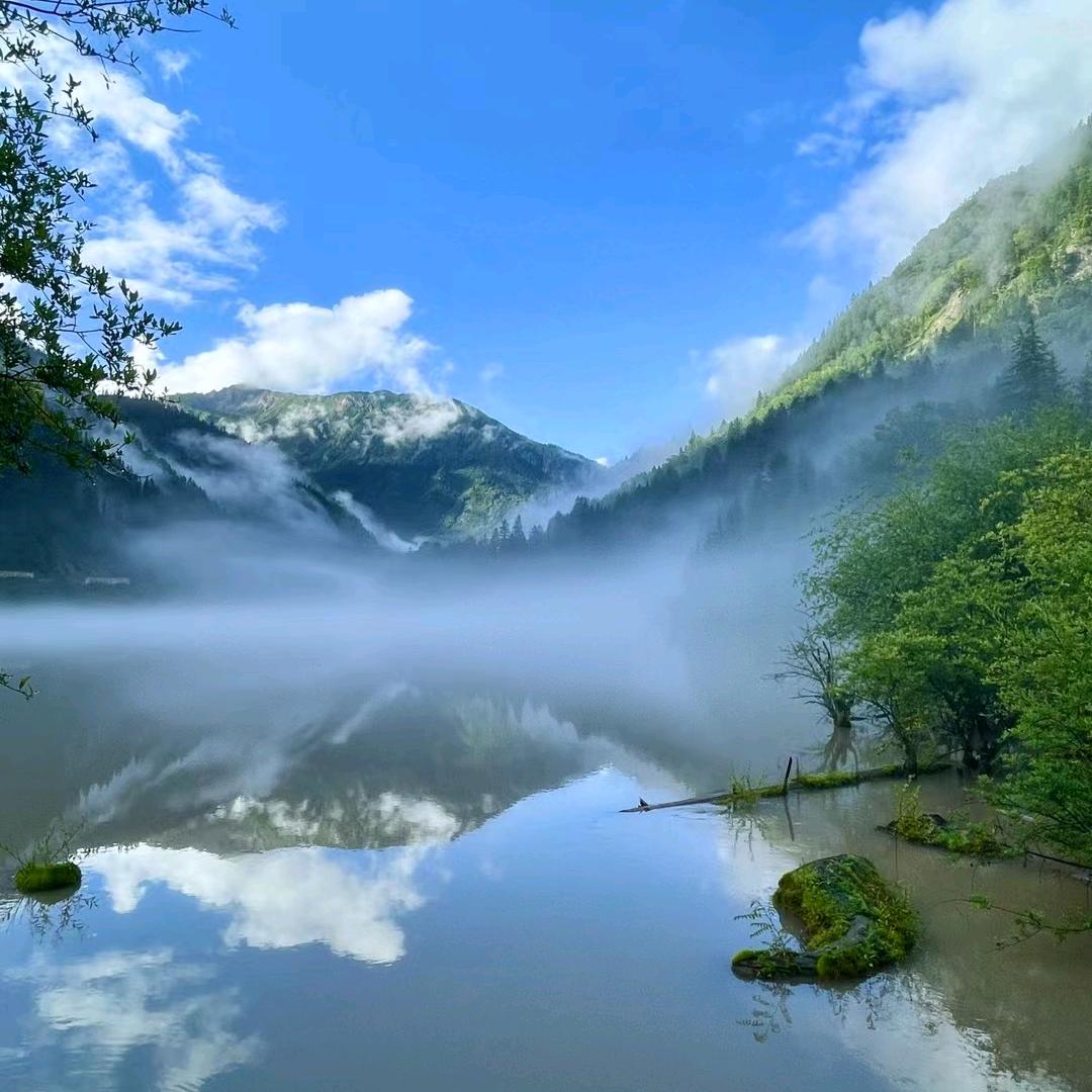 第一次养🐶（黑泰迪）