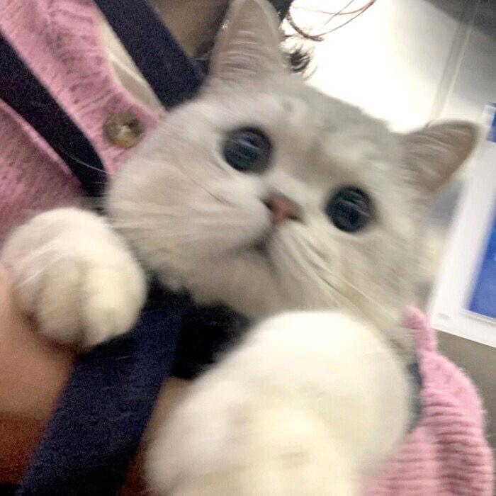 凡一课堂