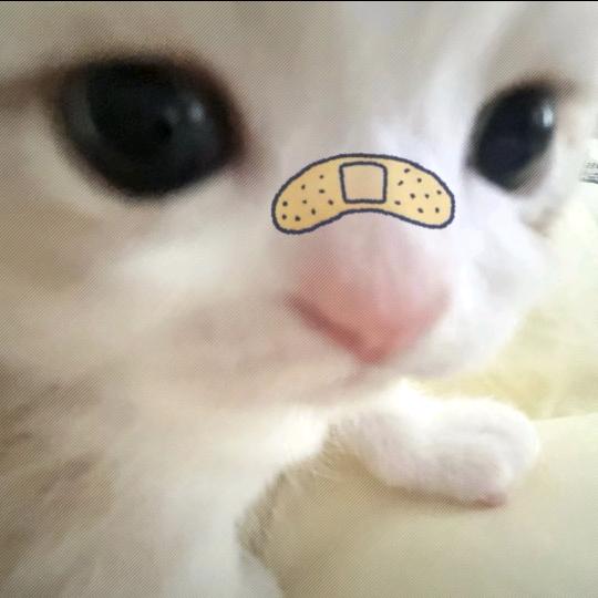 。💭