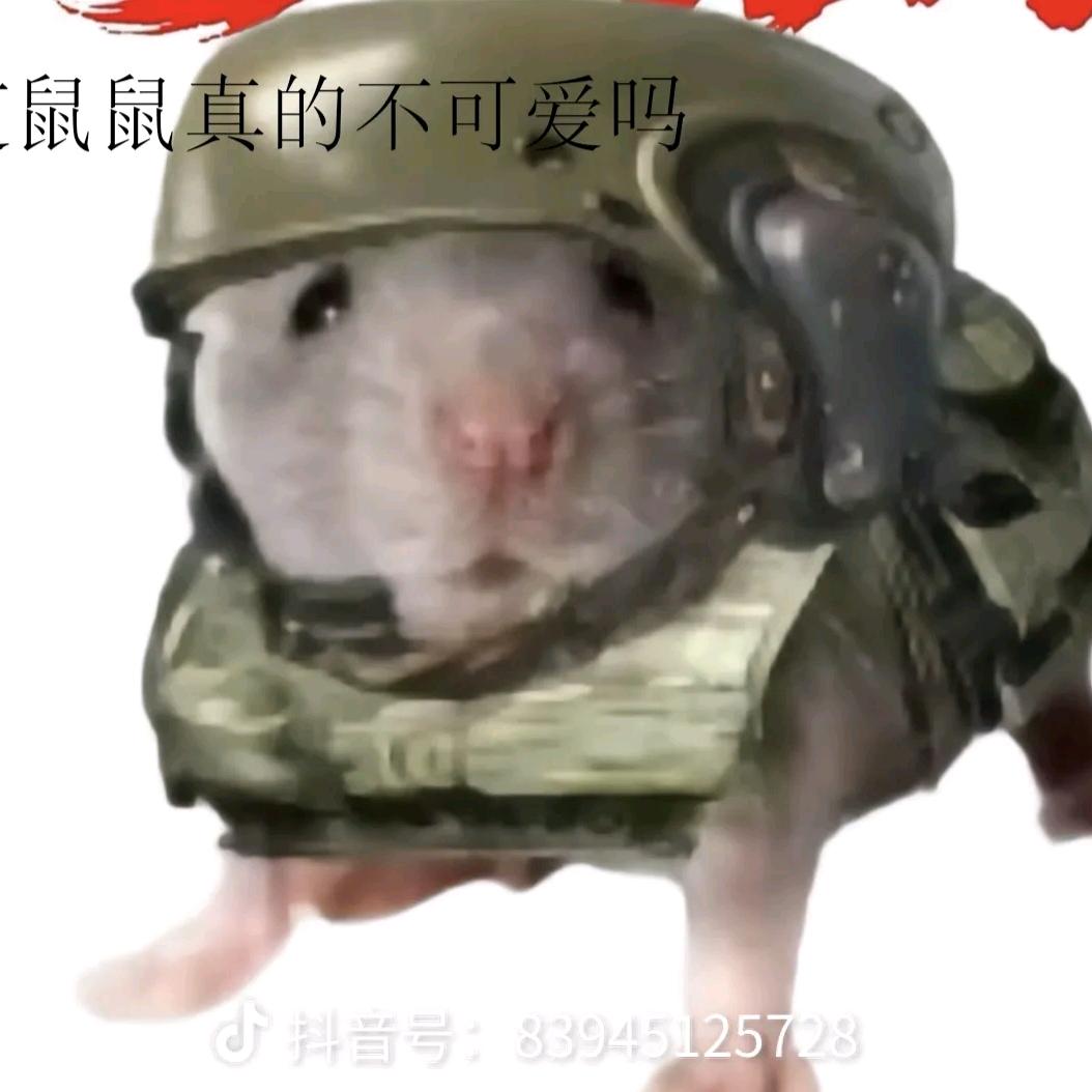 鼠鼠宏天（暗区突围PC）