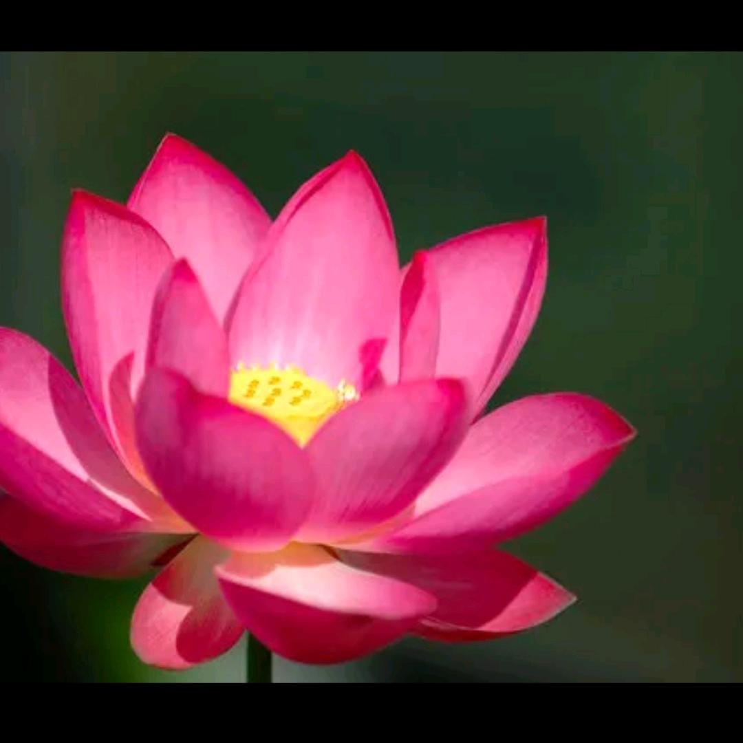 阿依那法