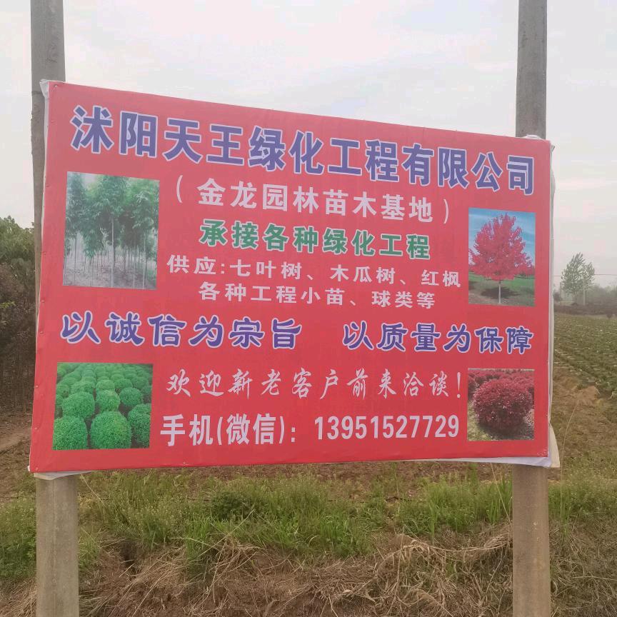 马到成功＿66佟