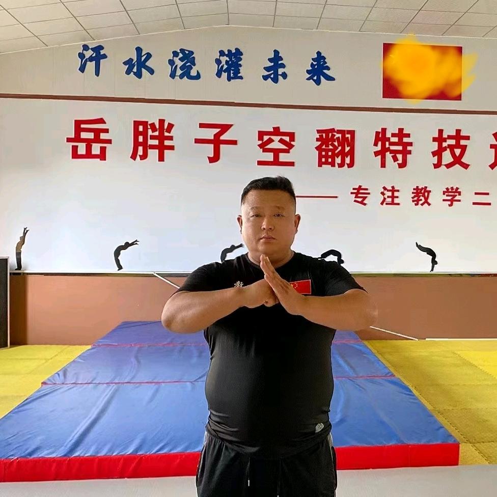 岳胖子空翻特技速成培训学院（火热招生中）