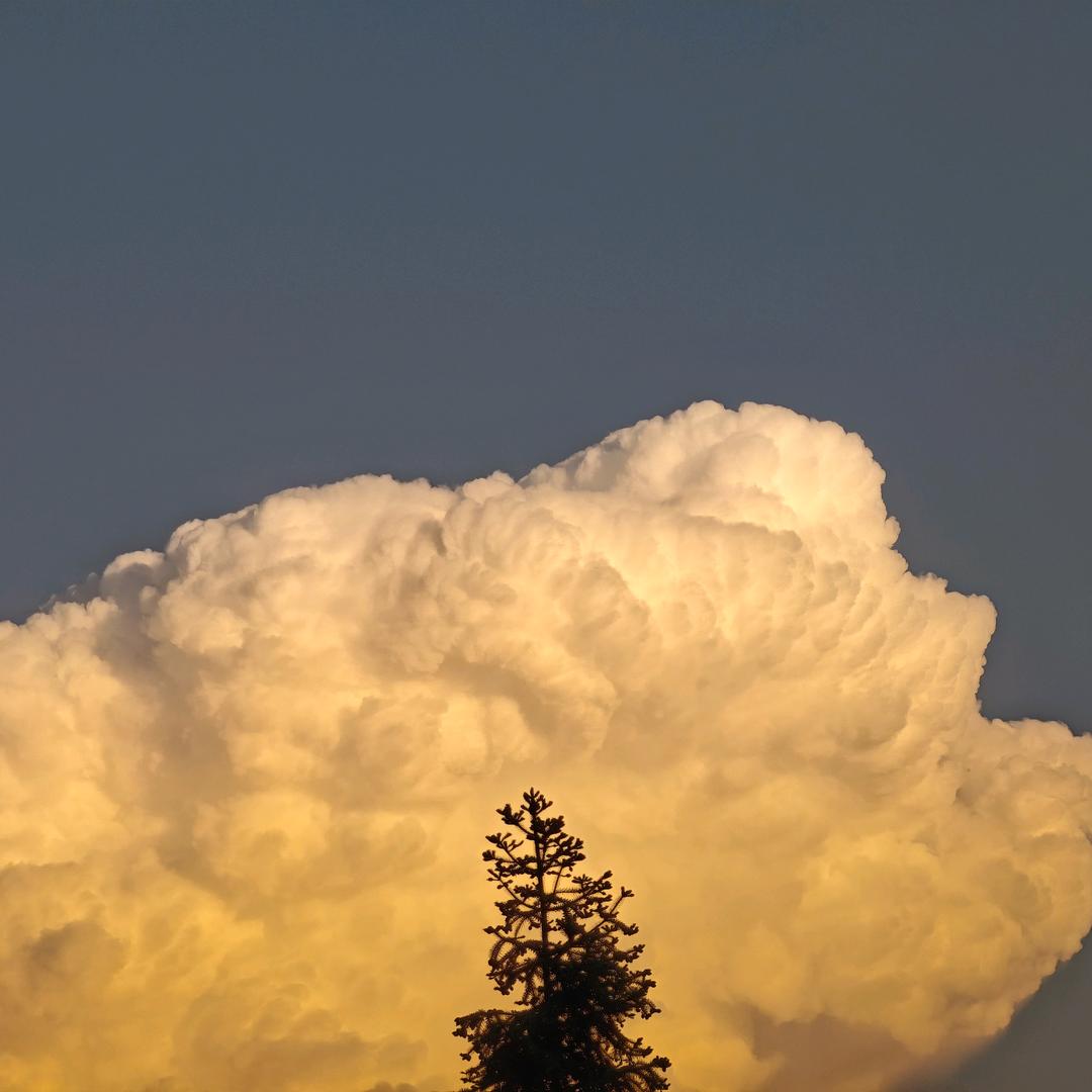 阿鑫鲢鳙巨物钓场