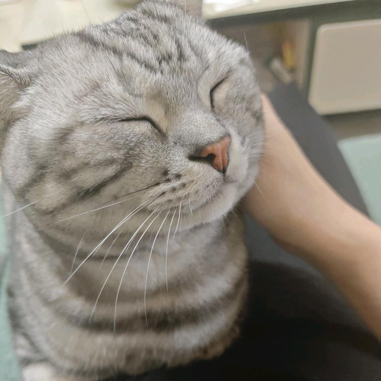 晚夜微雨头像