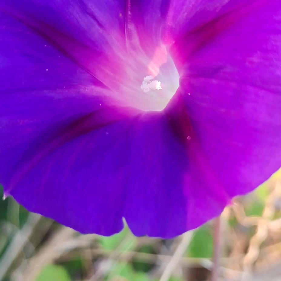 对自己说声，我还好