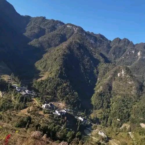 深山里的好蜂蜜哦
