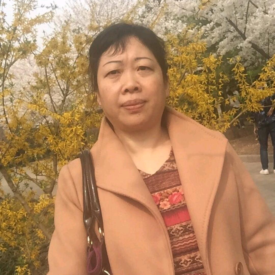 河南金姐