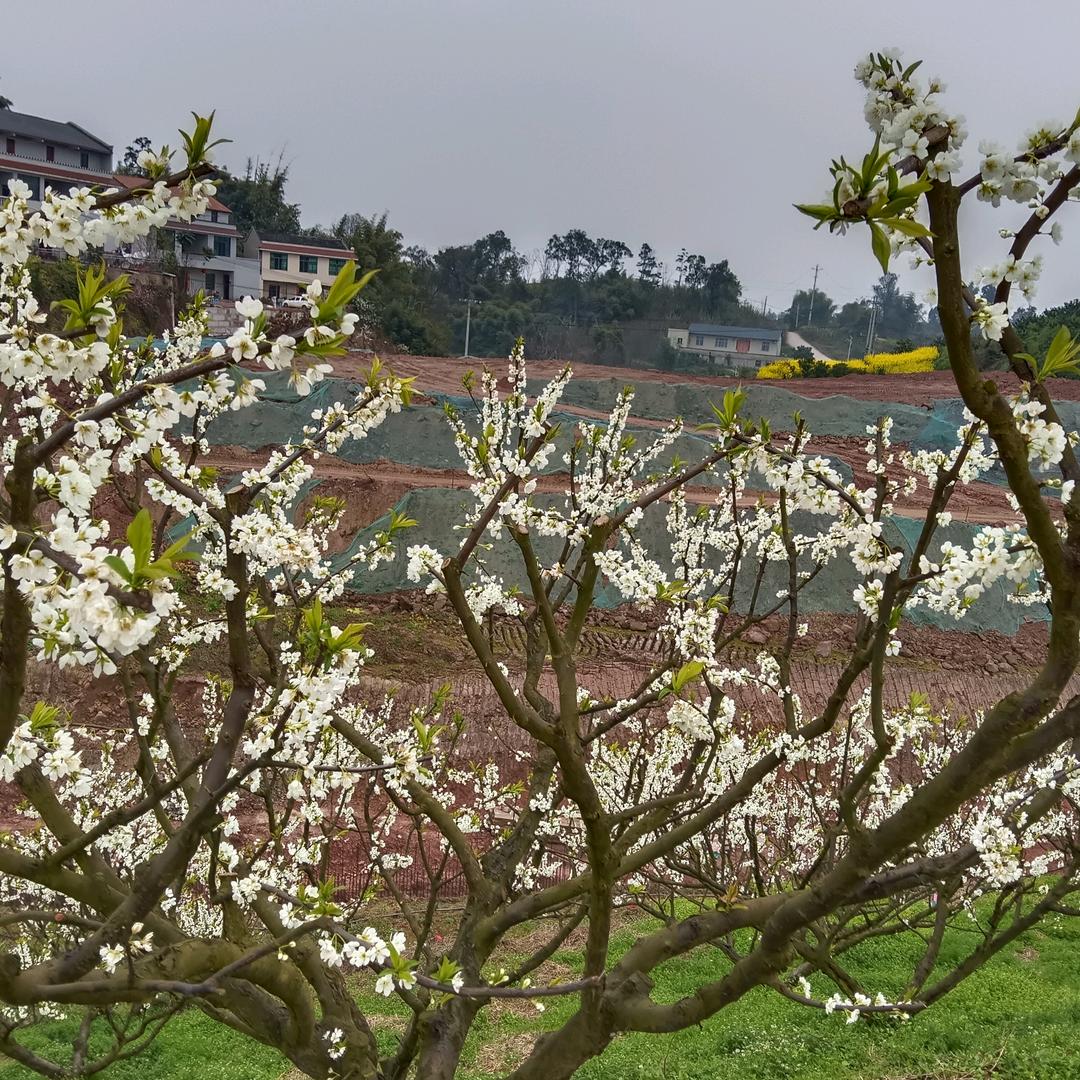 好好爱余生一辈子
