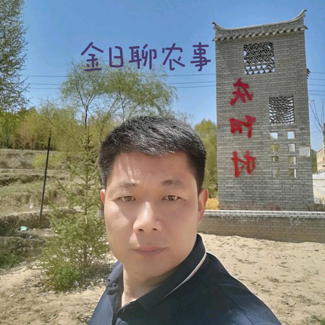 金日聊农事～（ 金正大）