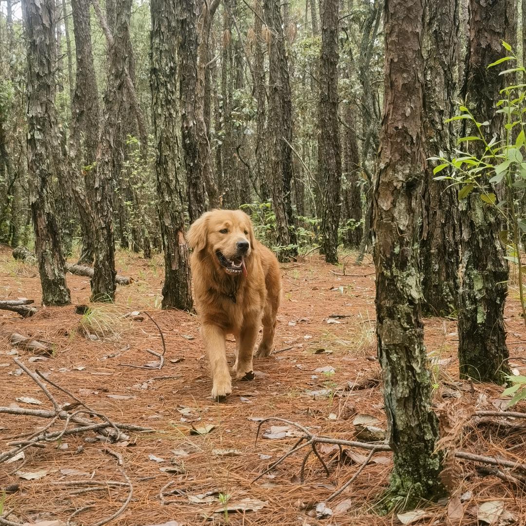 万象城外婆家鱼庄