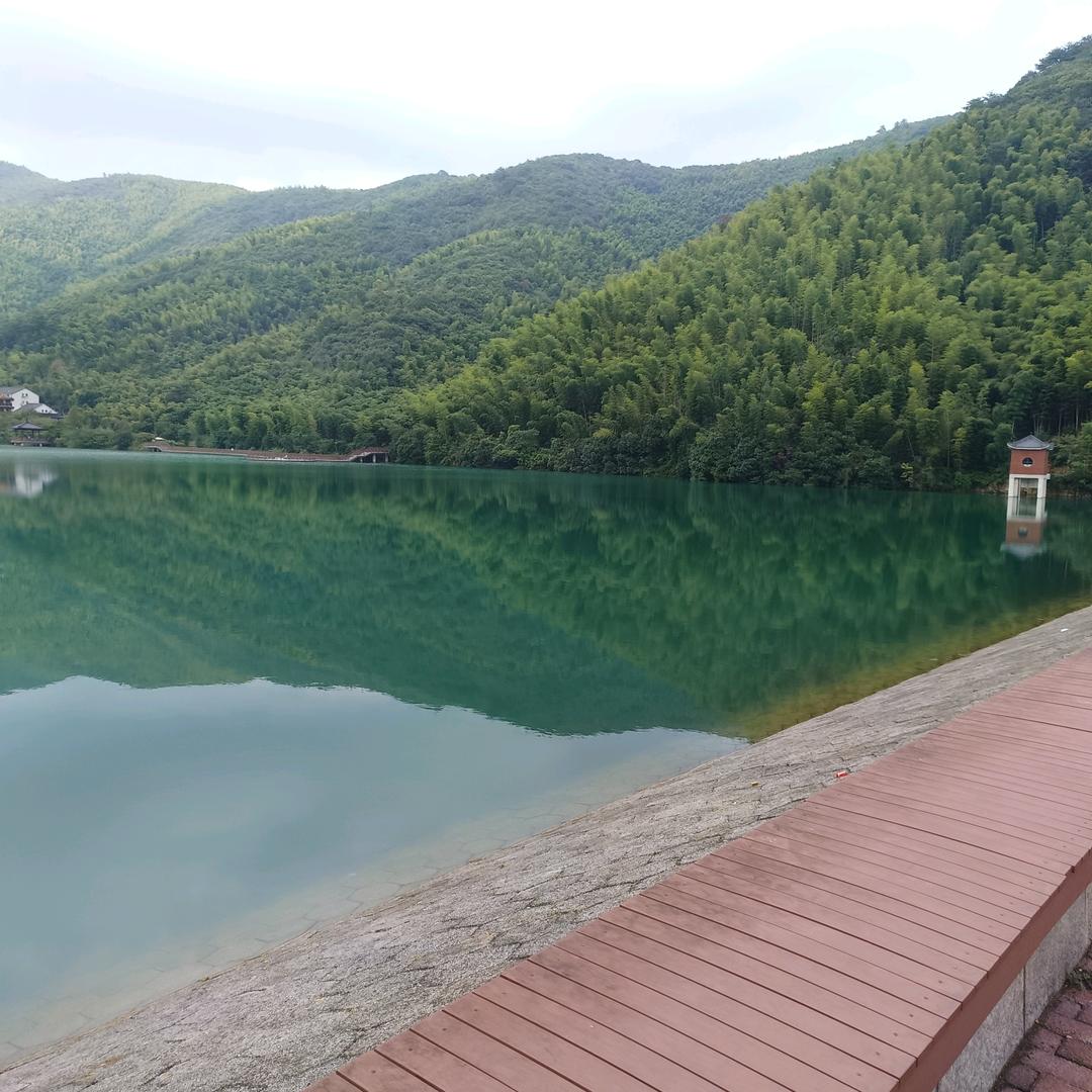 派哥《盛泽乌镇面馆》