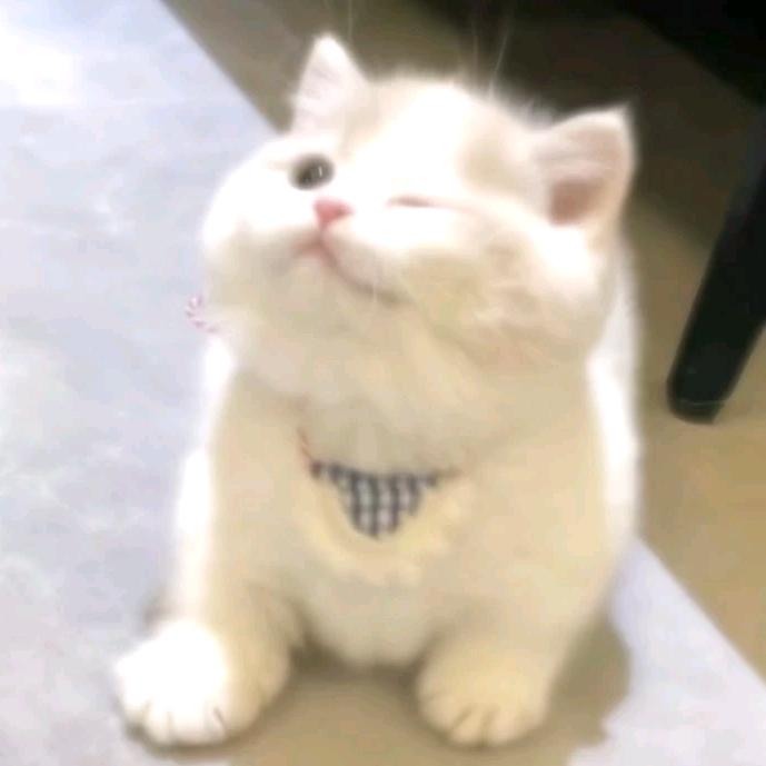 yy