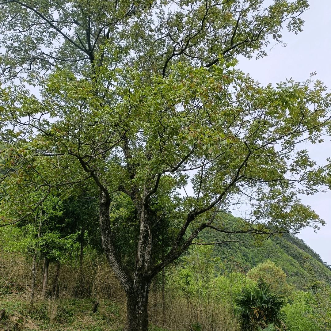 开开心心过好，每一天