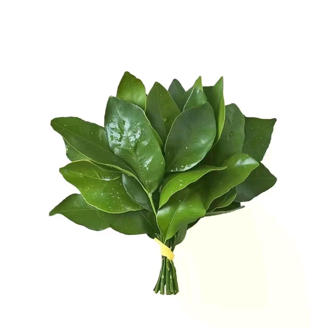 R.y