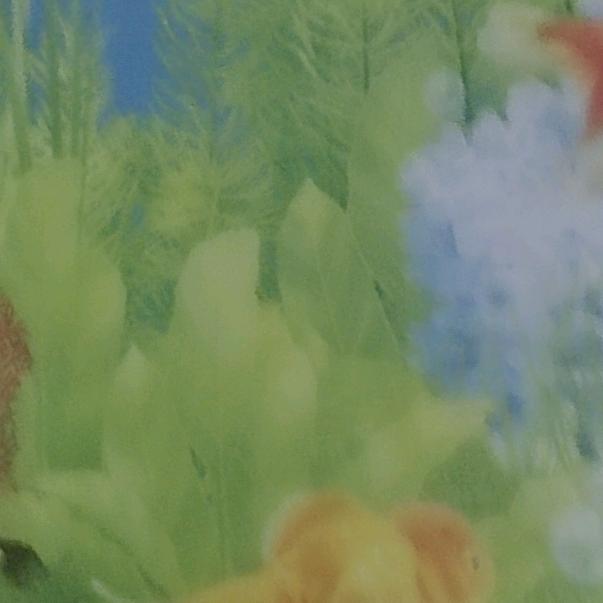 太想念