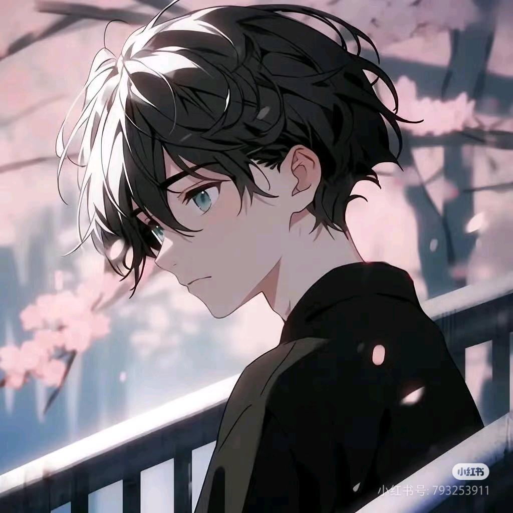芬杰