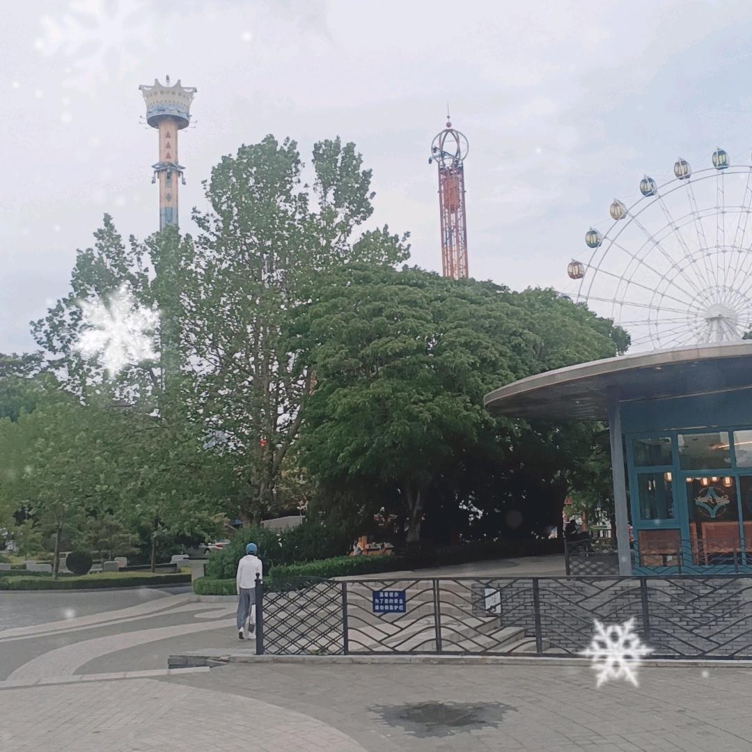 高山