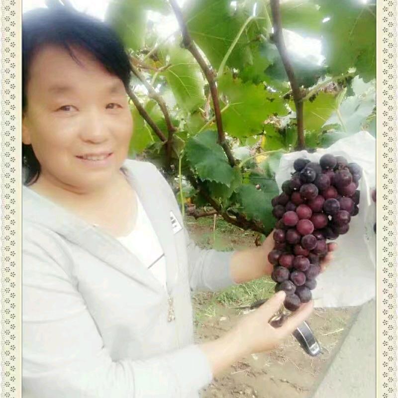 用户639892苦乐年华