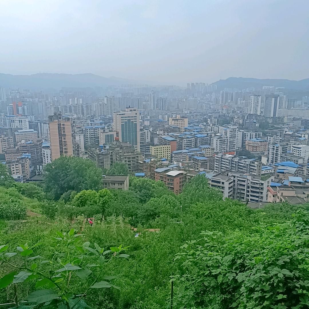🌷💐知足常乐🌺🌸