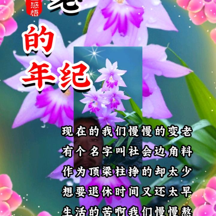 用户75087894纪俊富