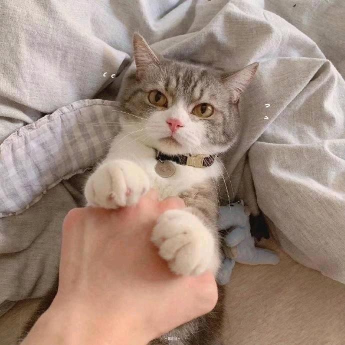 和尚洗头用飘柔