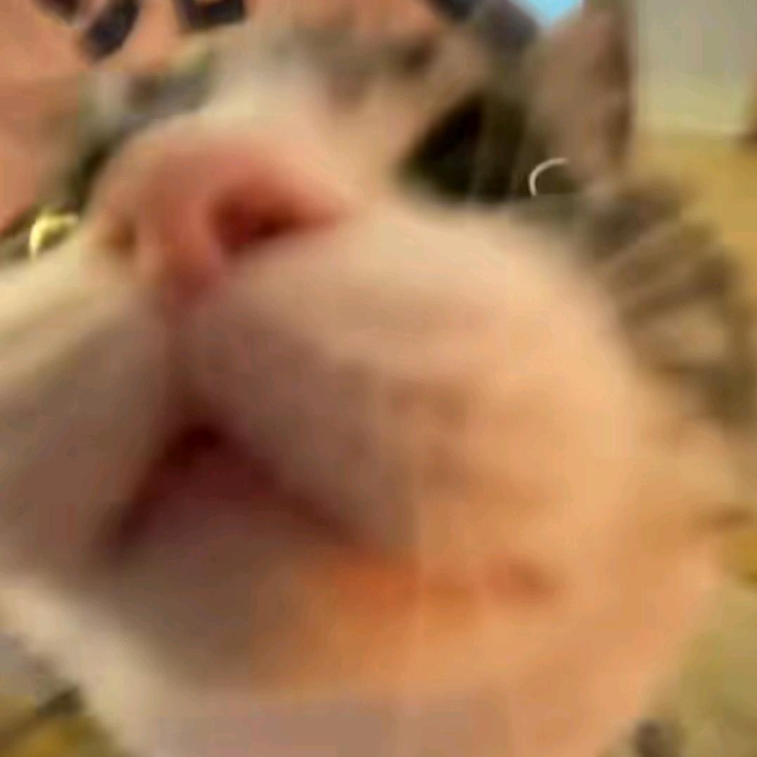 哈呵哼