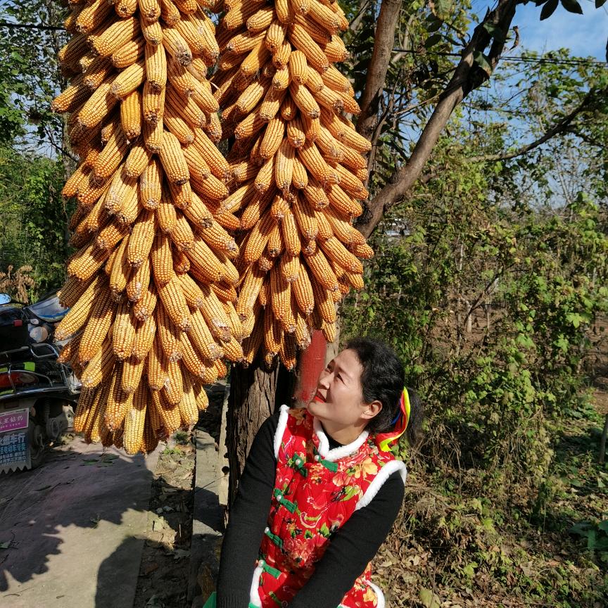 吴花果（石张俏媳妇鼓舞队）